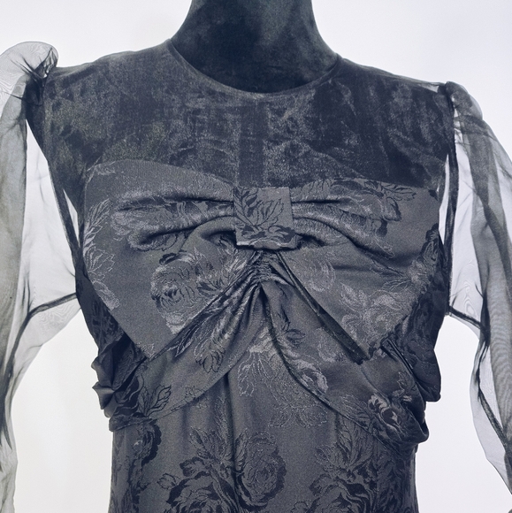 Vintage Organza Dress - Picture 6 of 11